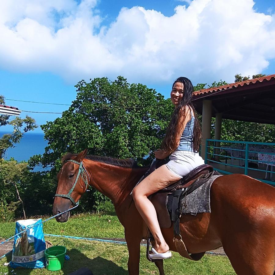 Hotel Rancho Juancho Portobelo Exteriér fotografie